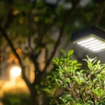 sensor de presença para lampada externa instalado na parede iluminando um jardim com plantas verdes e iluminação noturna ao fundo
